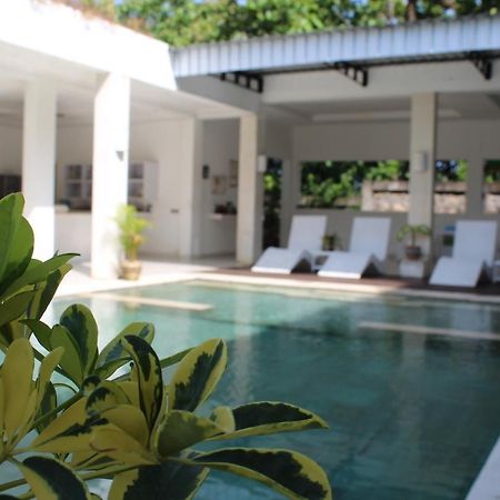 Villa Putih Lovina Luaran gambar