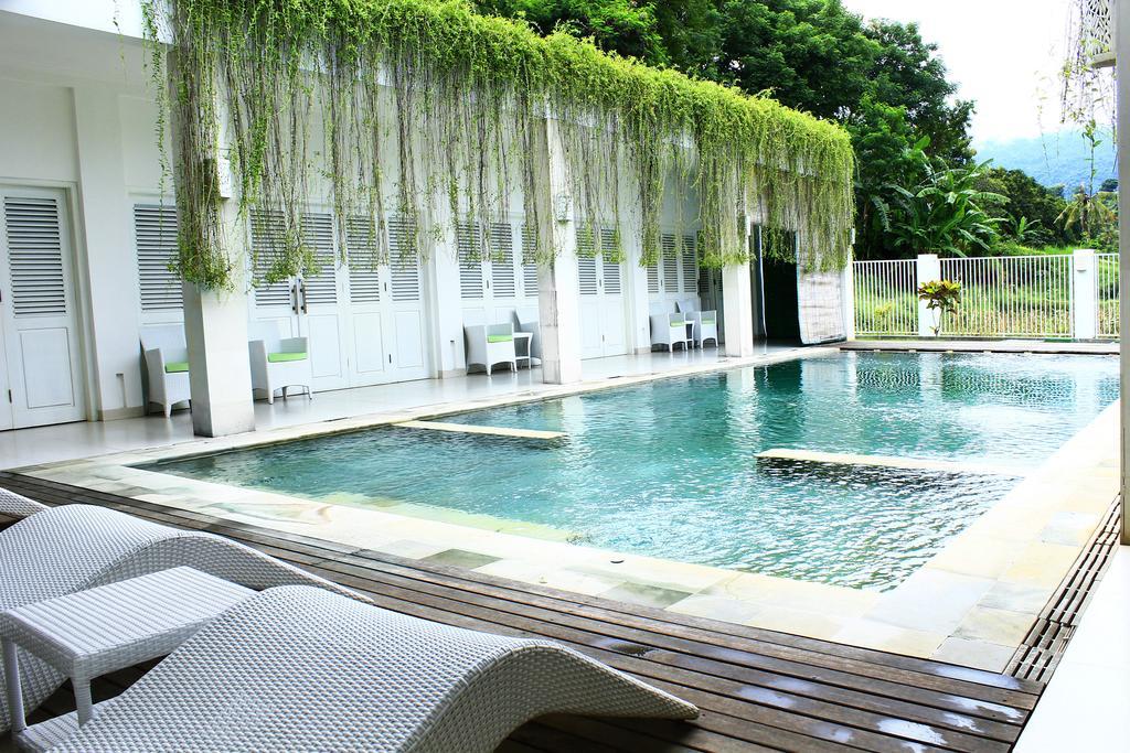 Villa Putih Lovina Luaran gambar