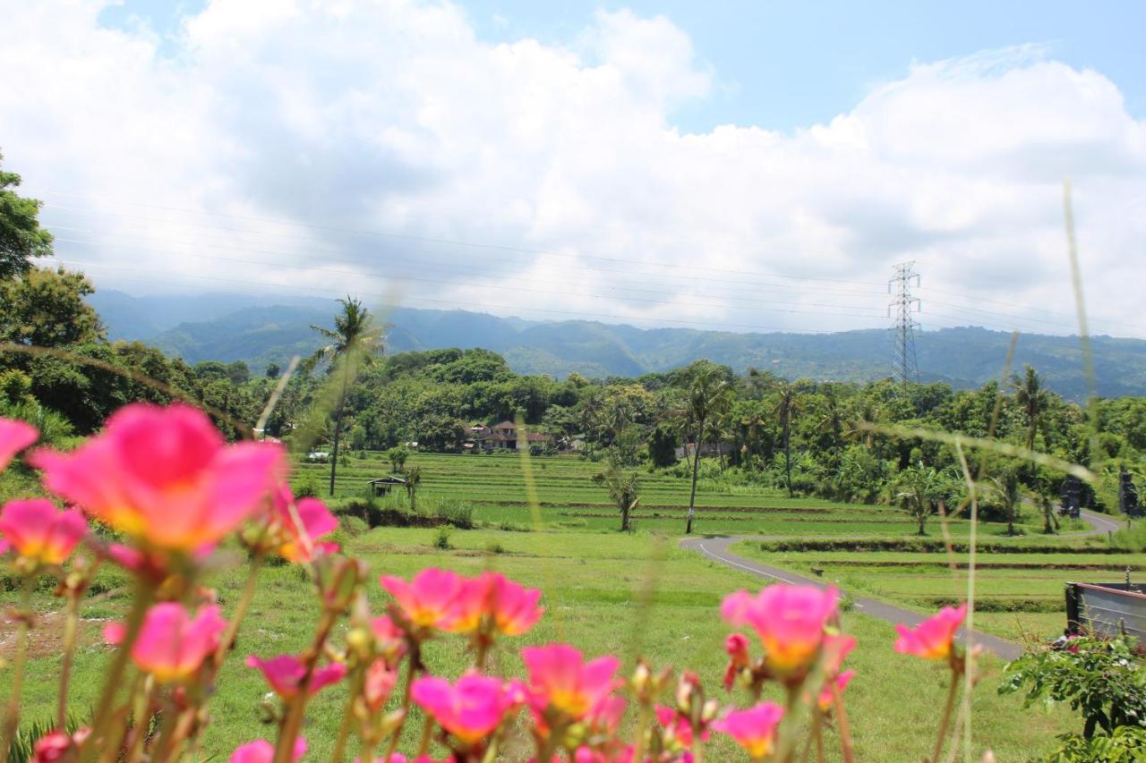 Villa Putih Lovina Luaran gambar